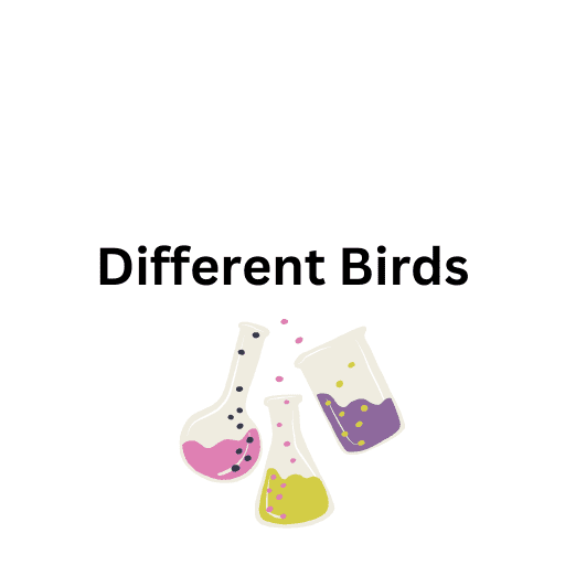 Different Birds